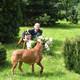 Jaromir, 74