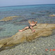 Kosmas, 41