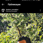 doston, 31 (2 ����, 0 �����)