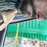 Carlos, 48 (3 ����, 0 �����)